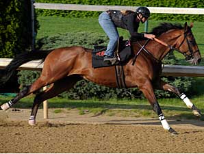 Big Brown Gets Easy Work at Churchill Big Brown Gets Easy Work at Churchill