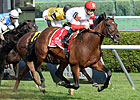 Big Blue Kitten Makes Point in Sword Dancer Big Blue Kitten Makes Point in Sword Dancer