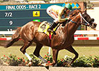 Big Cazanova Favored in Las Vegas Marathon Big Cazanova Favored in Las Vegas Marathon