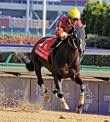 Big Drama Begins 5YO Season in Mr. Prospector