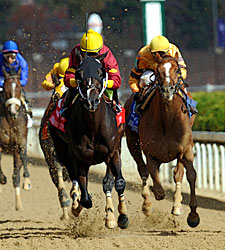 BC Sprint a Runaway Hit for Big Drama BC Sprint a Runaway Hit for Big Drama