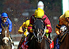 BC Sprint a Runaway Hit for Big Drama