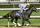 Sprint Champ Big Drama to Stand at Stonewall Sprint Champ Big Drama to Stand at Stonewall
