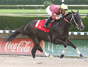 Big Drama Works Between Races at Calder Big Drama Works Between Races at Calder