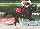 Big Drama Works Between Races at Calder