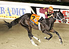 Big Drama's Return Highlights Swale Big Drama's Return Highlights Swale