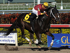 Big Drama Breaks Track Mark in Mr. Prospector Big Drama Breaks Track Mark in Mr. Prospector