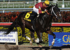 Big Drama Breaks Track Mark in Mr. Prospector Big Drama Breaks Track Mark in Mr. Prospector
