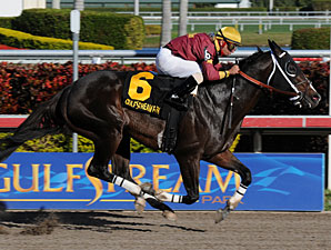 Loaded Vosburgh Looks Like BC Race