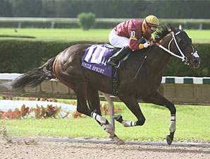 Big Drama Earns a Flashy Smile Sprint Victory Big Drama Earns a Flashy Smile Sprint Victory