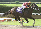 Big Drama Earns a Flashy Smile Sprint Victory