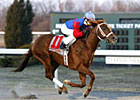 Big Glen Could Upset Coolmore Lexington