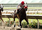 Big Macher Collects Grade I Bing Crosby Win Big Macher Collects Grade I Bing Crosby Win