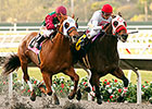 Big Macher Shows Star Quality in Cary Grant Big Macher Shows Star Quality in Cary Grant