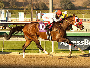 Big Macher's Foot Doing Well After Treatment Big Macher's Foot Doing Well After Treatment