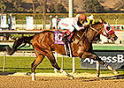 Big Macher's Foot Doing Well After Treatment Big Macher's Foot Doing Well After Treatment