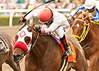 Big Macher Denies Wild Dude in Potrero Grande Big Macher Denies Wild Dude in Potrero Grande