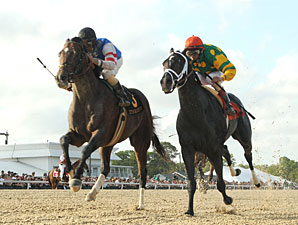 Big Truck Stuns Tampa Bay; War Pass Last