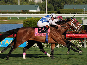 Bim Bam Lowers Boom in Hallandale Beach Bim Bam Lowers Boom in Hallandale Beach