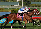 Bim Bam Lowers Boom in Hallandale Beach Bim Bam Lowers Boom in Hallandale Beach