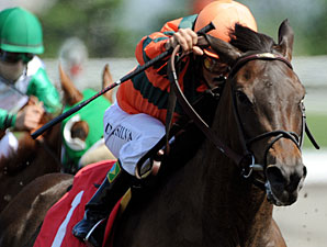 Canadian Horse of the Year Biofuel Retired Canadian Horse of the Year Biofuel Retired
