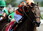Canadian Horse of the Year Biofuel Retired 