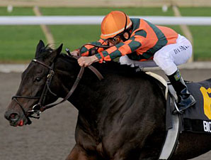 Biofuel a 23-1 Winner in Woodbine's Mazarine Biofuel a 23-1 Winner in Woodbine's Mazarine