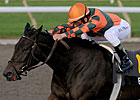 Biofuel a 23-1 Winner in Woodbine's Mazarine Biofuel a 23-1 Winner in Woodbine's Mazarine