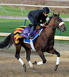 Biondetti Gives Godolphin Another Juvy Hope Biondetti Gives Godolphin Another Juvy Hope
