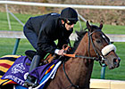 Biondetti Gives Godolphin Another Juvy Hope Biondetti Gives Godolphin Another Juvy Hope