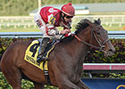 Birdatthewire Soars to Easy Forward Gal Win Birdatthewire Soars to Easy Forward Gal Win