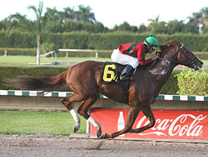 Birdrun Wins Florida Million Day Feature Birdrun Wins Florida Million Day Feature