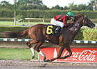 Birdrun Wins Florida Million Day Feature Birdrun Wins Florida Million Day Feature