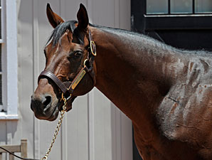 Birdstone's Fee Upped to $30,000 Birdstone's Fee Upped to $30,000