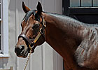 Birdstone's Fee Upped to $30,000