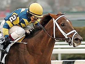 Fall Highweight 'Cap Attracts Seven Fall Highweight 'Cap Attracts Seven