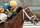 Fall Highweight 'Cap Attracts Seven