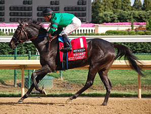Bizzy Caroline Works Bullet for American Oaks Bizzy Caroline Works Bullet for American Oaks