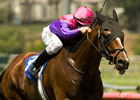 Black Astor Refuses to Fade in Sunset 'Cap Black Astor Refuses to Fade in Sunset 'Cap