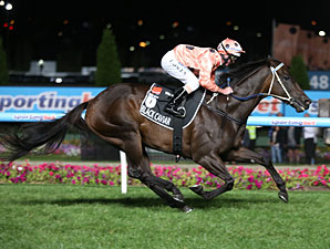 Black Caviar Electrifying in 24th Career Win Black Caviar Electrifying in 24th Career Win