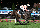 Black Caviar Electrifying in 24th Career Win Black Caviar Electrifying in 24th Career Win