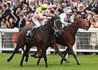 Black Caviar Makes First Start Since Ascot Black Caviar Makes First Start Since Ascot