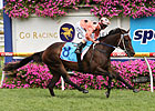Black Caviar Keeps on Rolling, Gets 18th Win Black Caviar Keeps on Rolling, Gets 18th Win