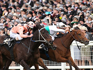 Black Caviar Just Holds in Ascot Nail-Biter Black Caviar Just Holds in Ascot Nail-Biter