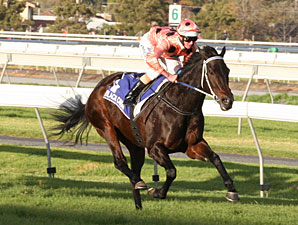 Black Caviar Wins Again; Royal Ascot Next Black Caviar Wins Again; Royal Ascot Next