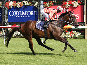 'Freak' Black Caviar Ties Australasian Record 'Freak' Black Caviar Ties Australasian Record