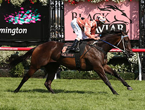 Unbeaten Black Caviar Sets Record in Comeback Unbeaten Black Caviar Sets Record in Comeback