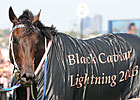 Black Caviar Inducted Into Australian HOF Black Caviar Inducted Into Australian HOF