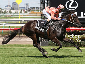 Black Caviar Aussie Racehorse of the Year Black Caviar Aussie Racehorse of the Year
