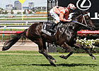 Black Caviar Aussie Racehorse of the Year Black Caviar Aussie Racehorse of the Year